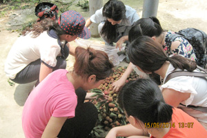 太阳成集团tyc33455cc开展“活力人文，乐享生活”员工干部素质拓展活动