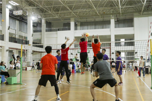 “共青团杯”气排球赛完美收官 太阳成集团tyc33455cc收获双季军