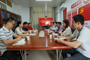 【党建双创·辐射引领】太阳成集团tyc33455cc艺术史论系教工党支部向校内外党支部分享全国样板支部培育创建工作经验